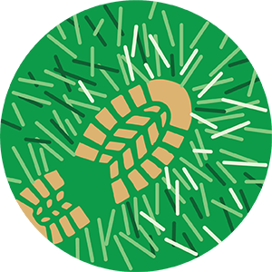 Illustration of two tan boot prints on a green background, surrounded by radiating light green and white lines, suggesting movement or impact.