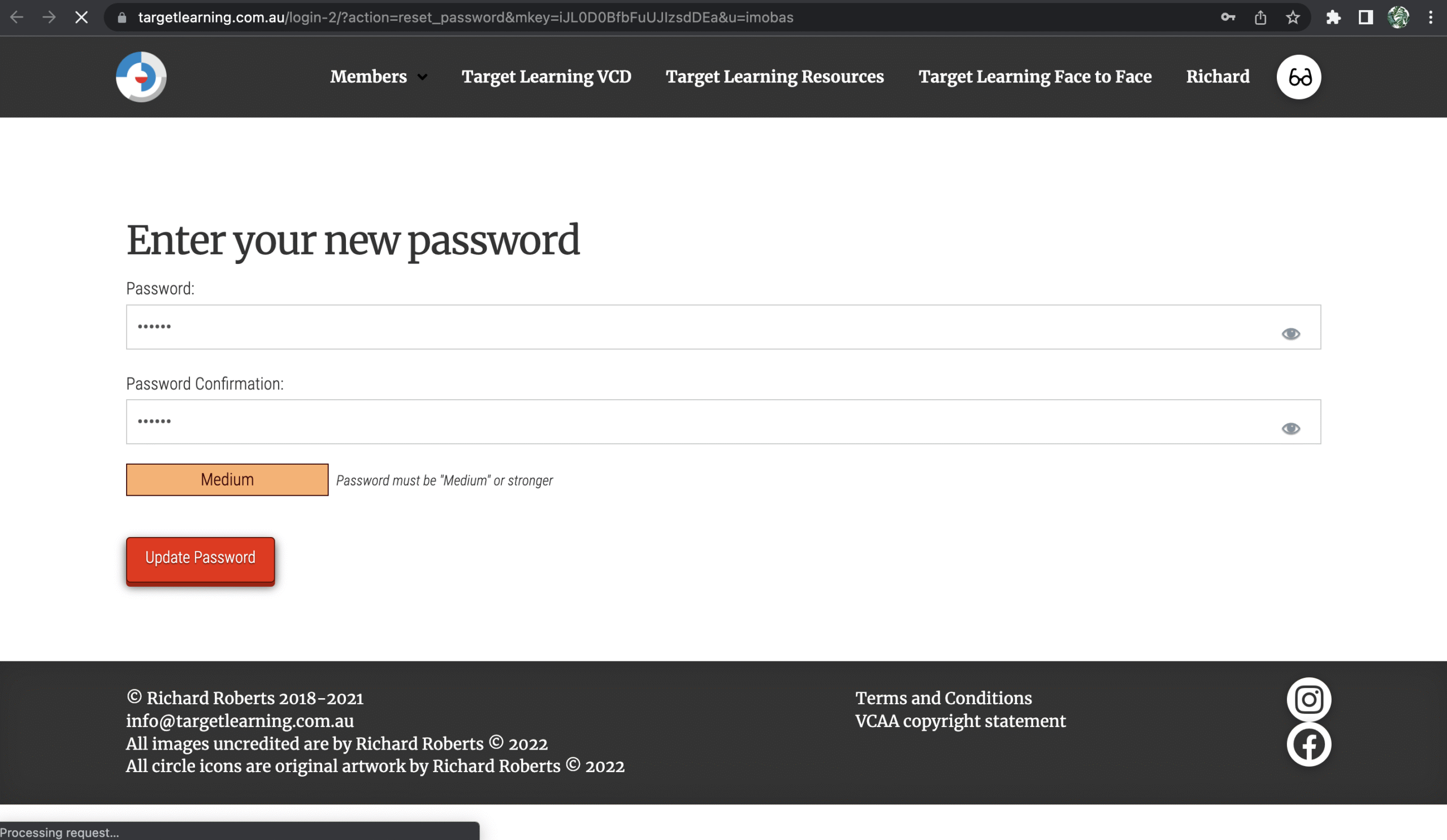 A website page prompting the user to enter and confirm a new password, with a Medium password strength indicator and an Update Password button below the input fields.