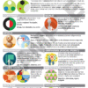 The Art Creative Practice Poster pack includes an infographic on art principles, covering balance, contrast, scale, space, proportion, unity/variety, rhythm, movement, and emphasis with icons and clear definitions for making and exhibiting art.