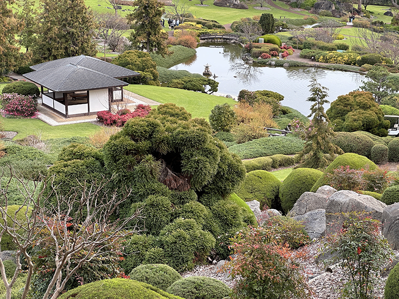 A serene Japanese garden with a small pavilion, manicured shrubs, colorful flowering plants, rocks, and a tranquil pond surrounded by lush greenery and trees.