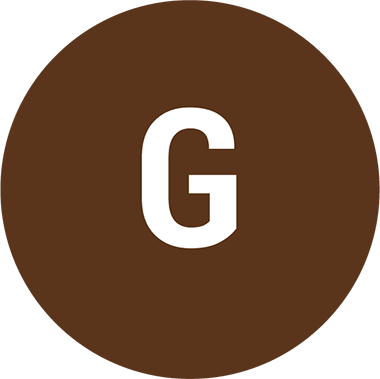 A bold, white capital letter G centered on a solid brown background.
