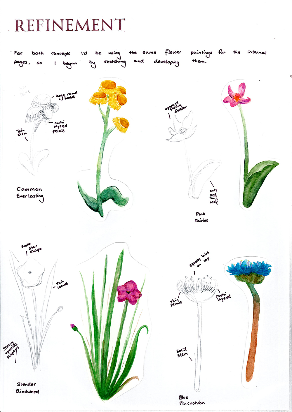 A sketchbook page titled Refinement displays watercolor and pencil drawings of six different flowers, each labeled with notes and names, such as Common Everlasting, Pink Fairies, Slender Bindweed, and Blue Flaxation.